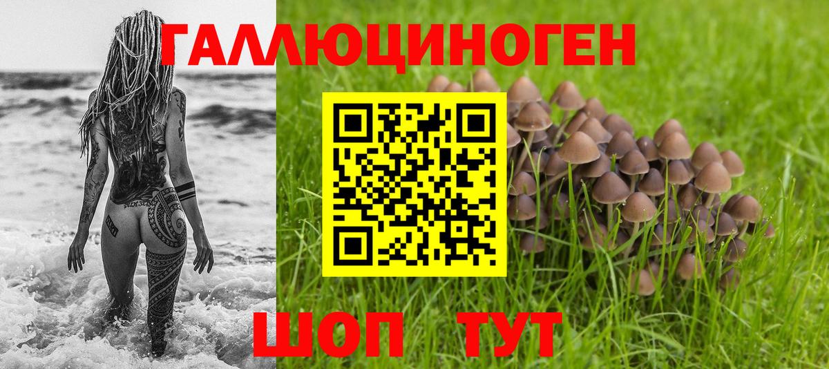 Богородск  Псилоцибиновые грибы ЛСД  Галлюциногенные грибы MAGIC MUSHROOMS  Вход с VPN 