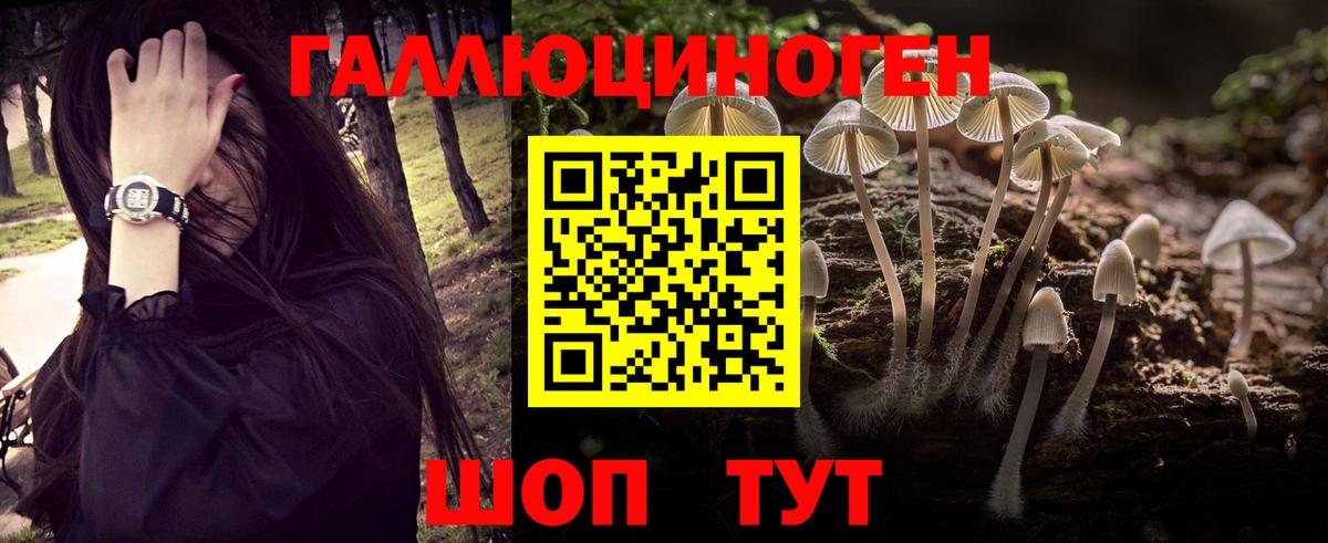 Псилоцибиновые грибы MAGIC MUSHROOMS Богородск